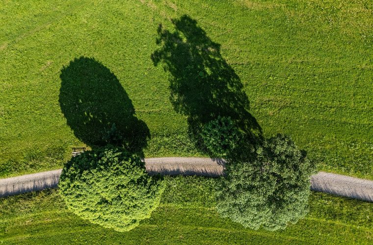 Vuurkorven en lichtinstallaties verlichten een wandelroute door de duinen van Egmond aan Zee bij de Fjoertoer