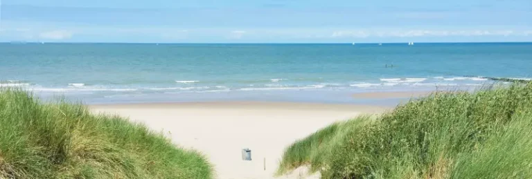Weekly Market — braderie-en-jaarmarkt in Egmond aan Zee