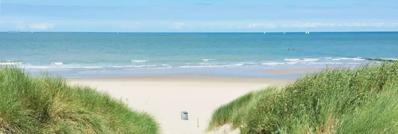Weekly Market in Egmond aan Zee